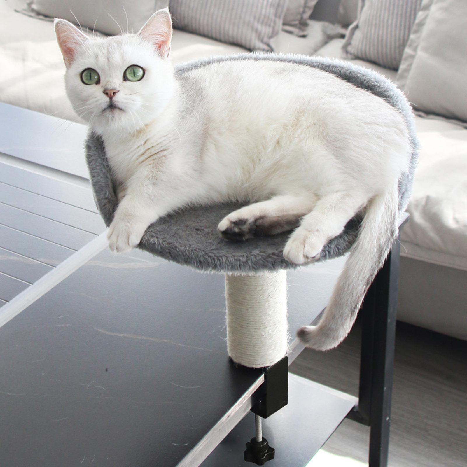 Cat Desk Bed 360 Rotating Hamm - Under Desk Hammock 评论和价格